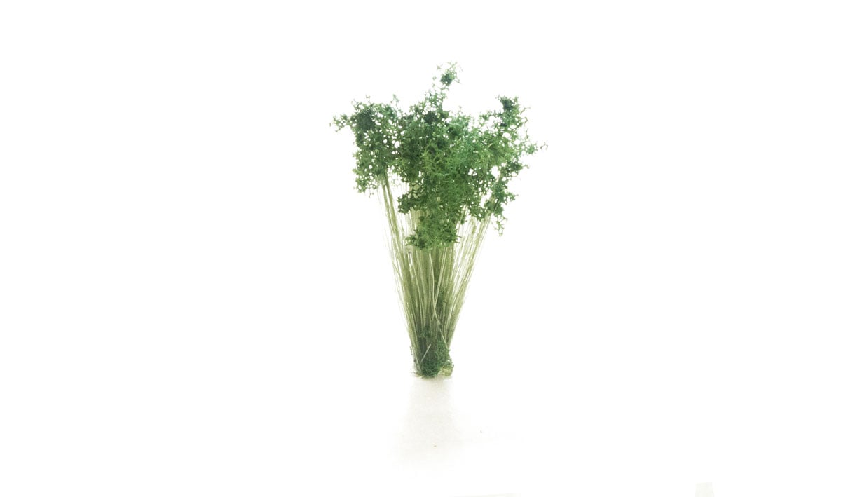 WSC FS778 ITEM IMAGE 2