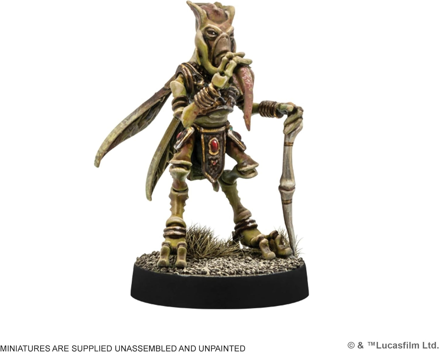 AMG SWL116EN ITEM IMAGE 3