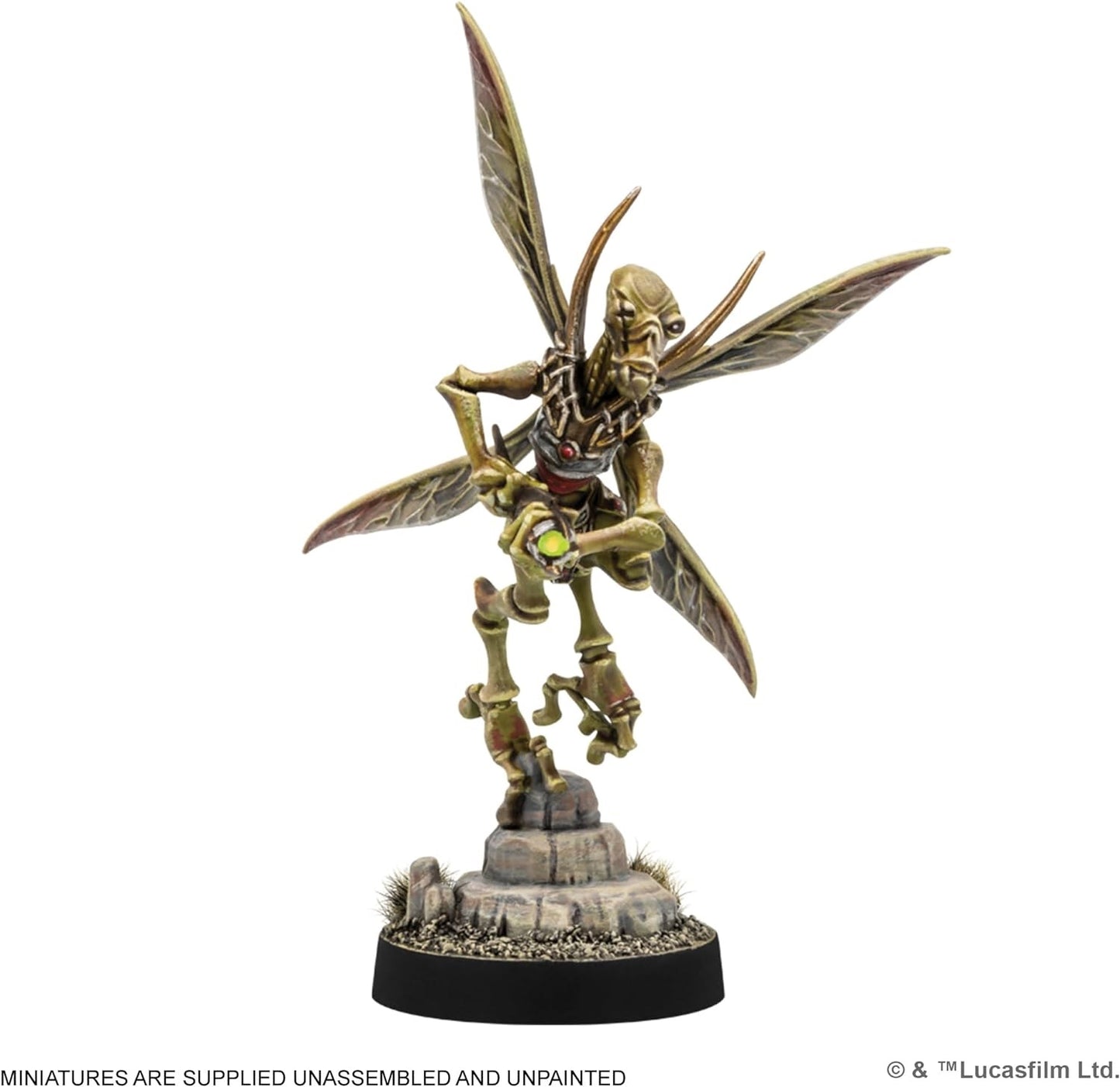 AMG SWL116EN ITEM IMAGE 4