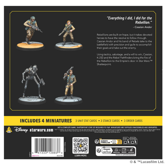 AMG SWP31 ITEM IMAGE 2