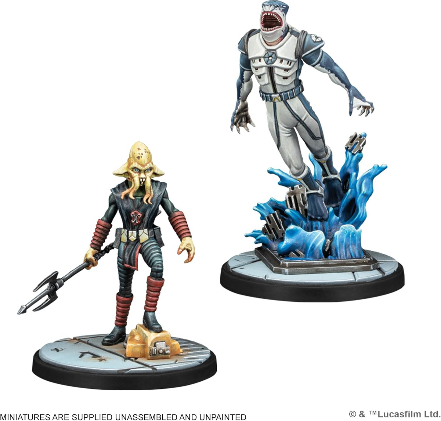 AMG SWP63 ITEM IMAGE 3