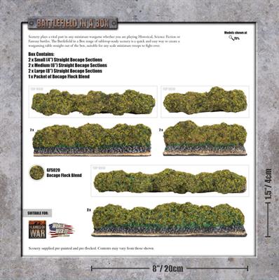 FOW BB243 ITEM IMAGE 2