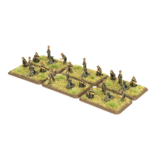 FOW BR825 ITEM IMAGE 2