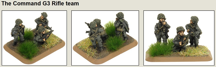 FOW TGR712 ITEM IMAGE 2