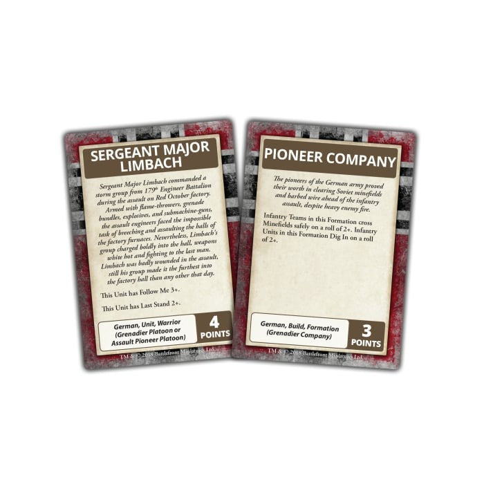 FOW FW247C ITEM IMAGE 3