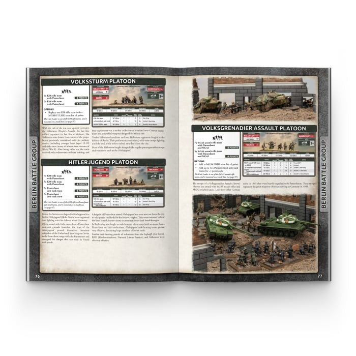 FOW FW273 ITEM IMAGE 5