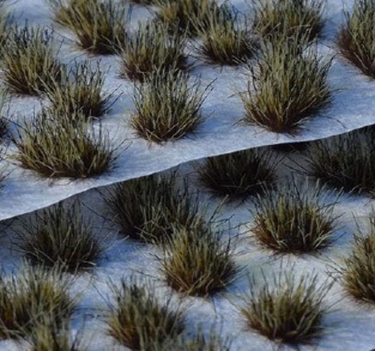 GGR GG6-BUR ITEM IMAGE 3