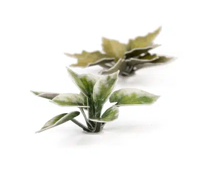 GGR GGLP-PL ITEM IMAGE 5