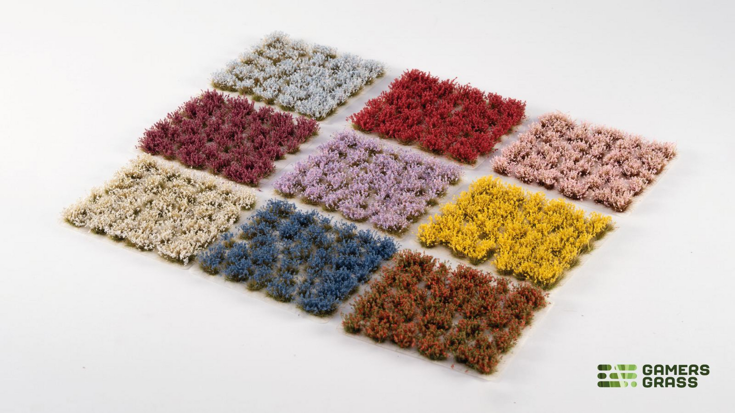 GGR GGSB-FCS ITEM IMAGE 5