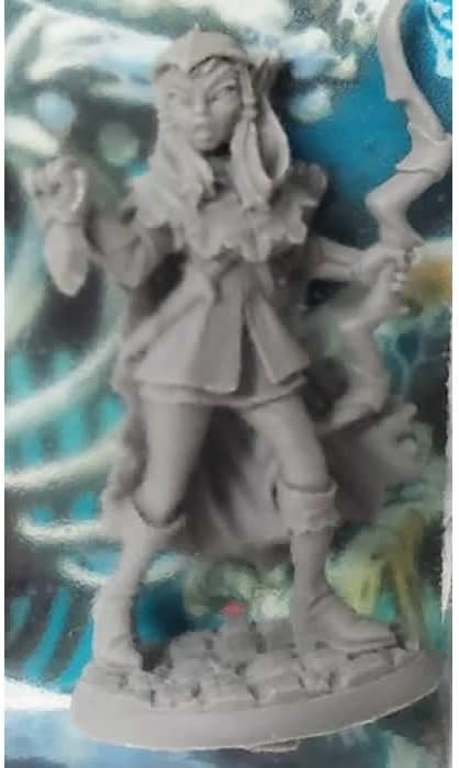 REM 07069 ITEM IMAGE 2