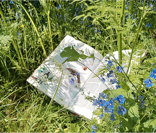 REN 01164 ITEM IMAGE 2