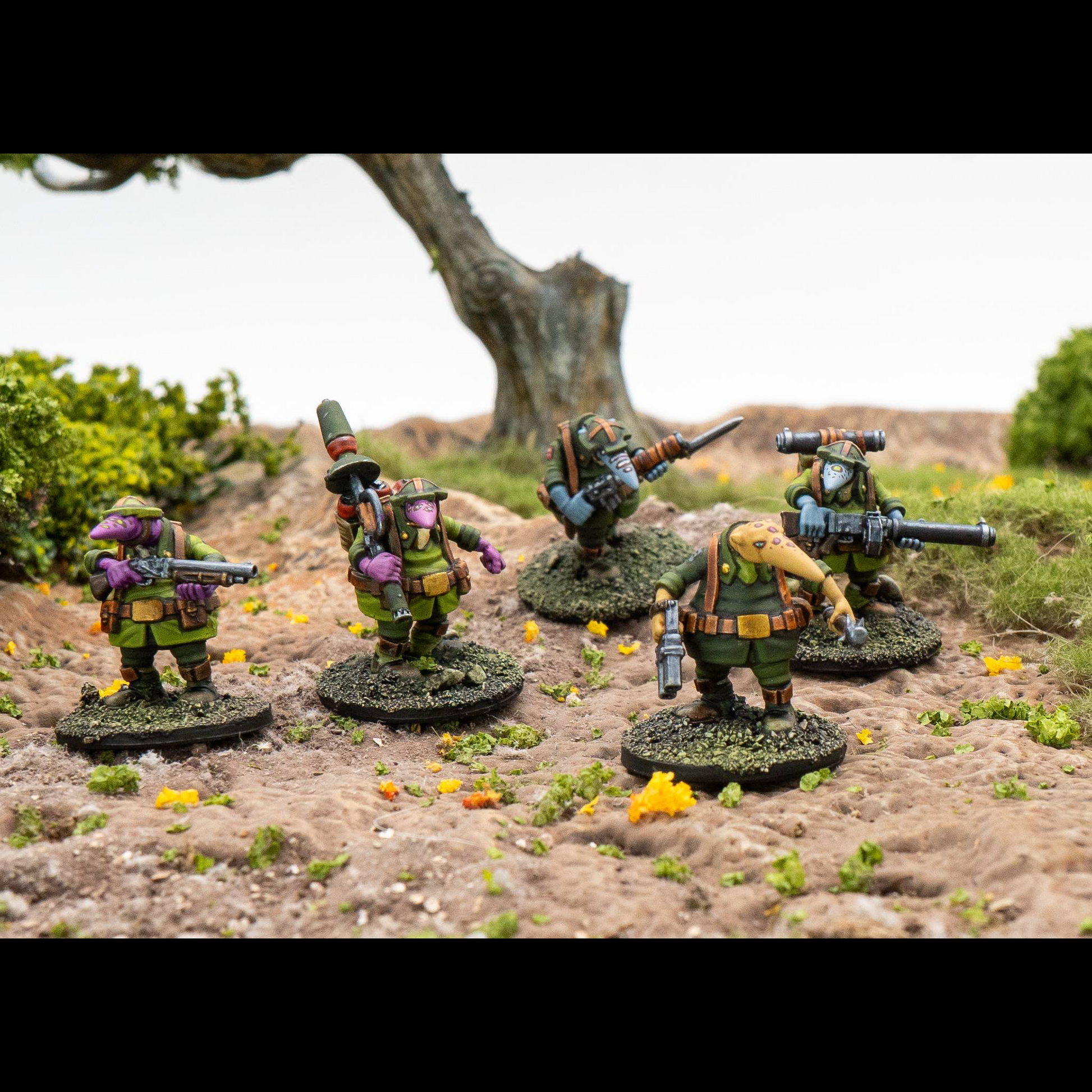 WAA QU008 ITEM IMAGE 3