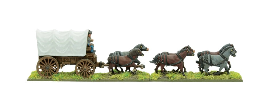 WLG 315114008 ITEM IMAGE 3