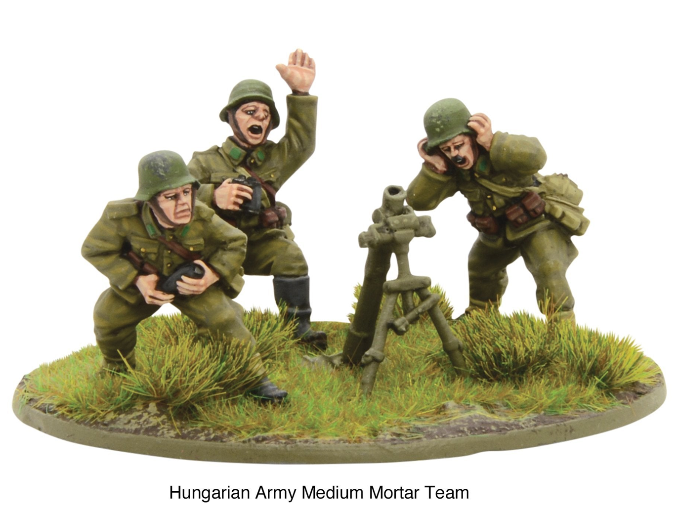 WLG 402217407 ITEM IMAGE 5