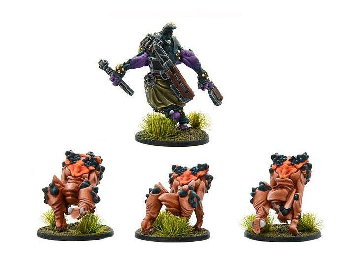 WLG 503017001 ITEM IMAGE 3