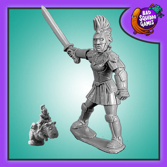 BSQ BFM098 ITEM IMAGE 2