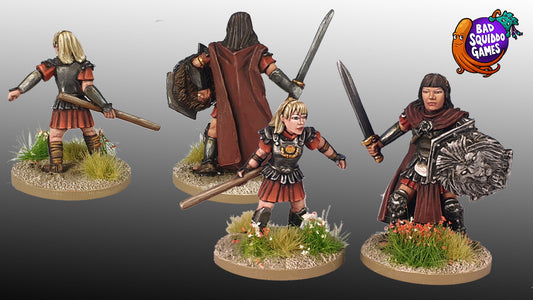 BSQ BFM110 ITEM IMAGE 2