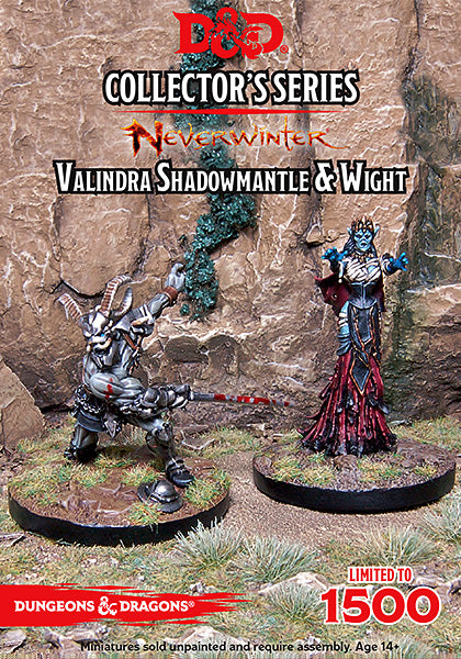 D&D Collector's Series Neverwinter Valindra Shadowmantle & Wight GF9 71045