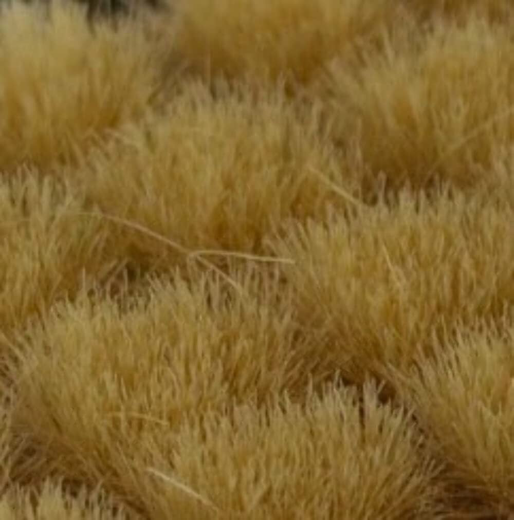 GGR GG6-BE ITEM IMAGE 2