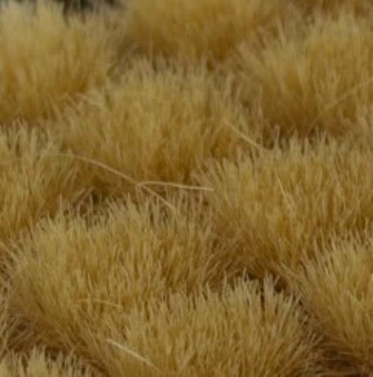 GGR GG6-BE ITEM IMAGE 2