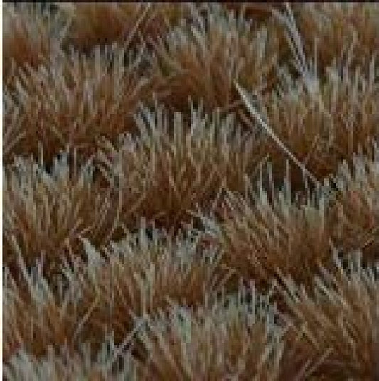 GGR GG6-DT ITEM IMAGE 2