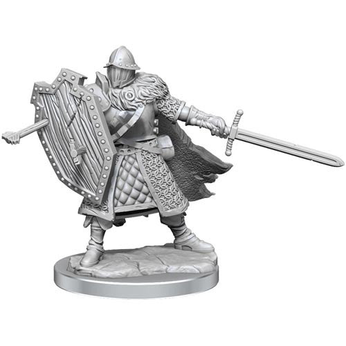 Pathfinder Deep Cuts Unpainted Miniatures: Elf Fighter Male – WizKids