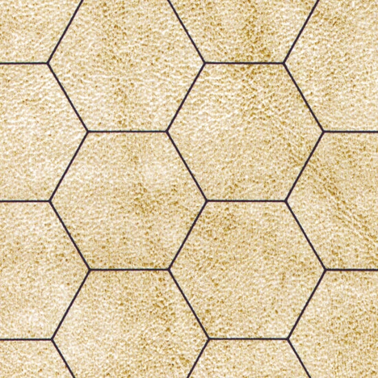 CHX 97246 ITEM IMAGE 2