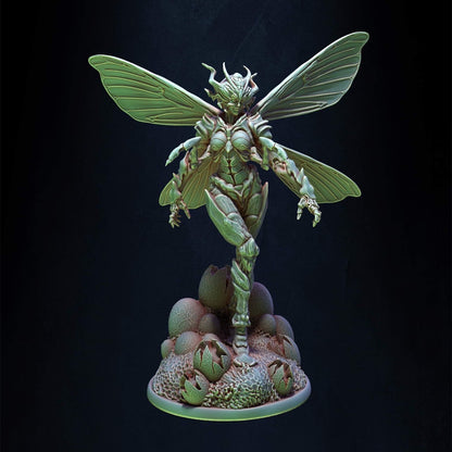 DPM GE-013 ITEM IMAGE 2