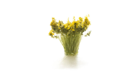 WSC FS776 ITEM IMAGE 2