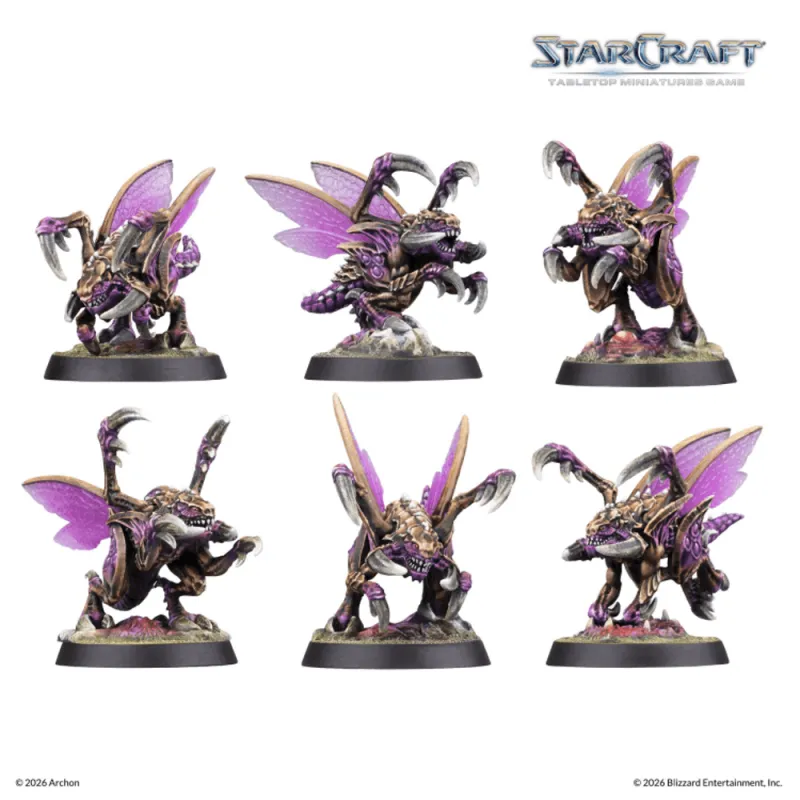 ACS SCMG0008 ITEM IMAGE 4