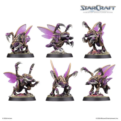 ACS SCMG0008 ITEM IMAGE 4
