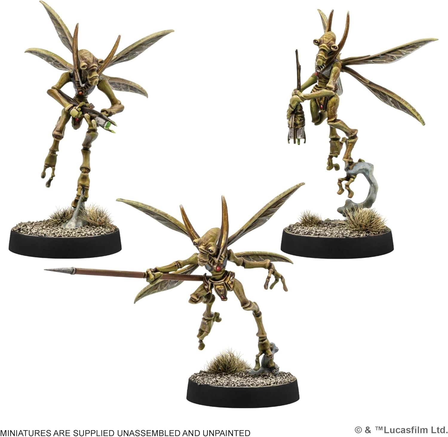 AMG SWL115EN ITEM IMAGE 3
