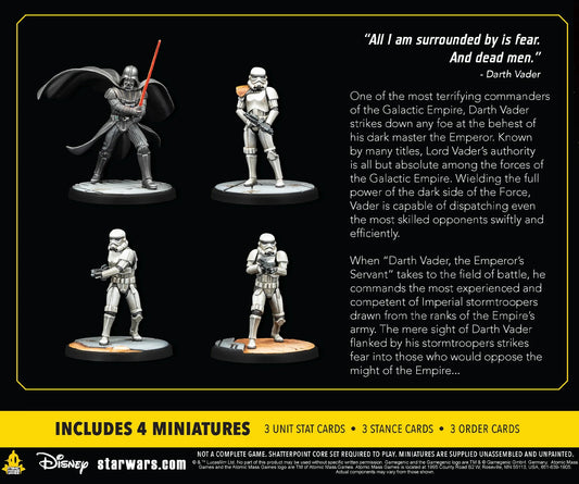 AMG SWP21 ITEM IMAGE 2