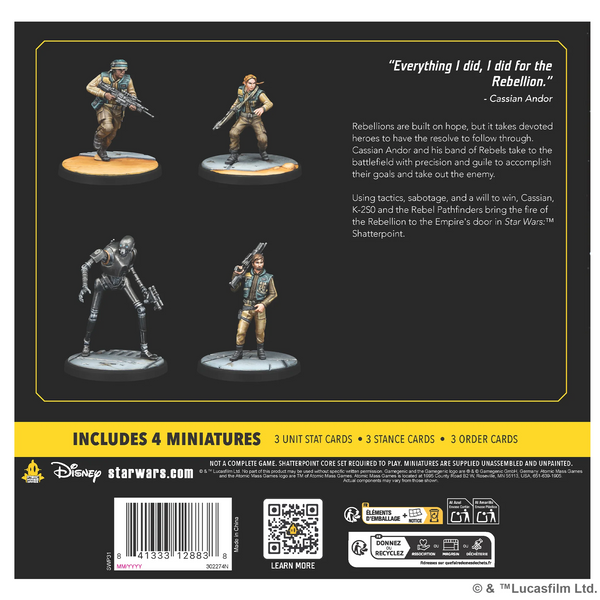 AMG SWP31 ITEM IMAGE 2