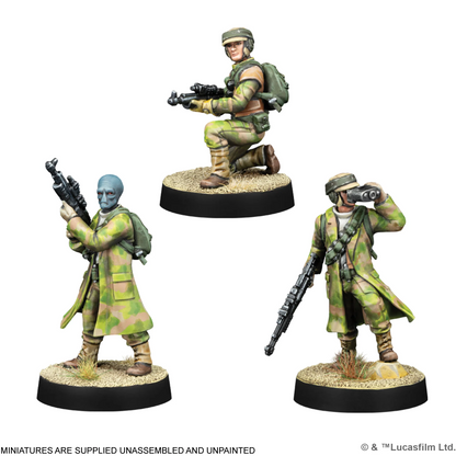 AMG SWQ16 ITEM IMAGE 3