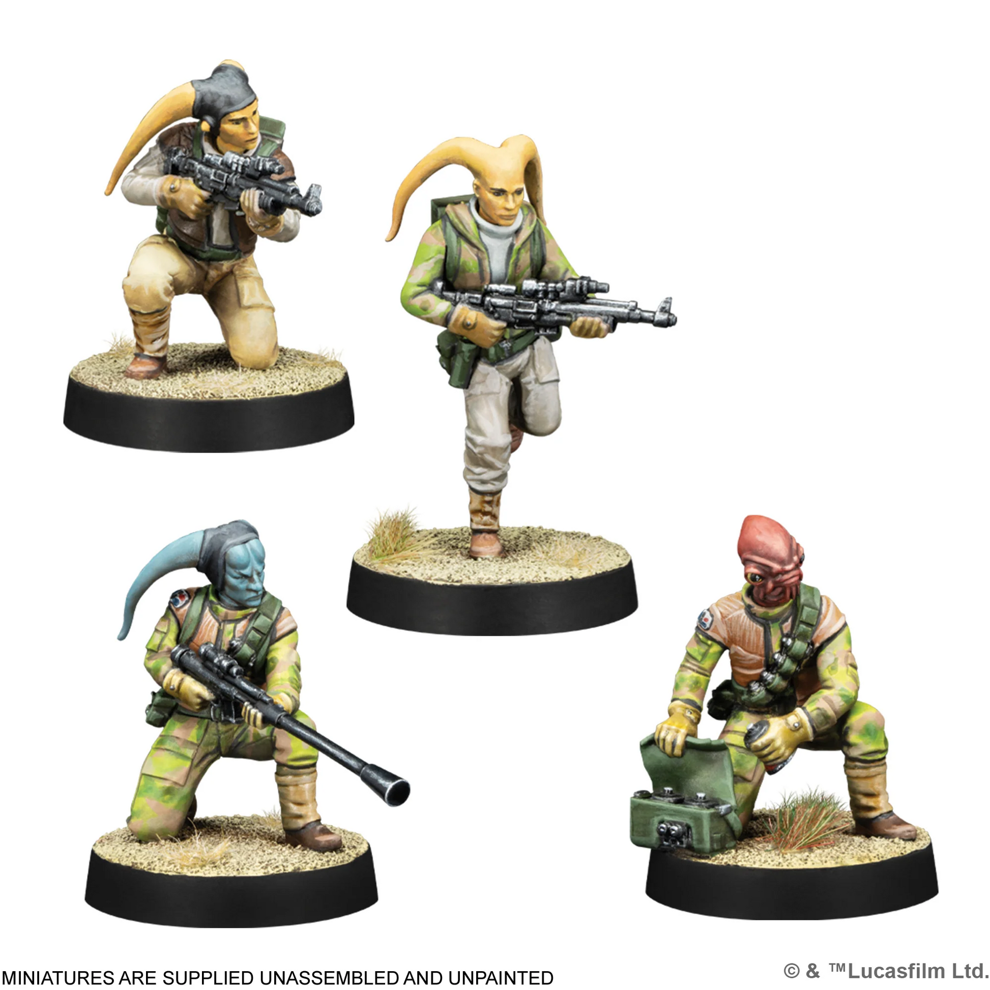 AMG SWQ16 ITEM IMAGE 4