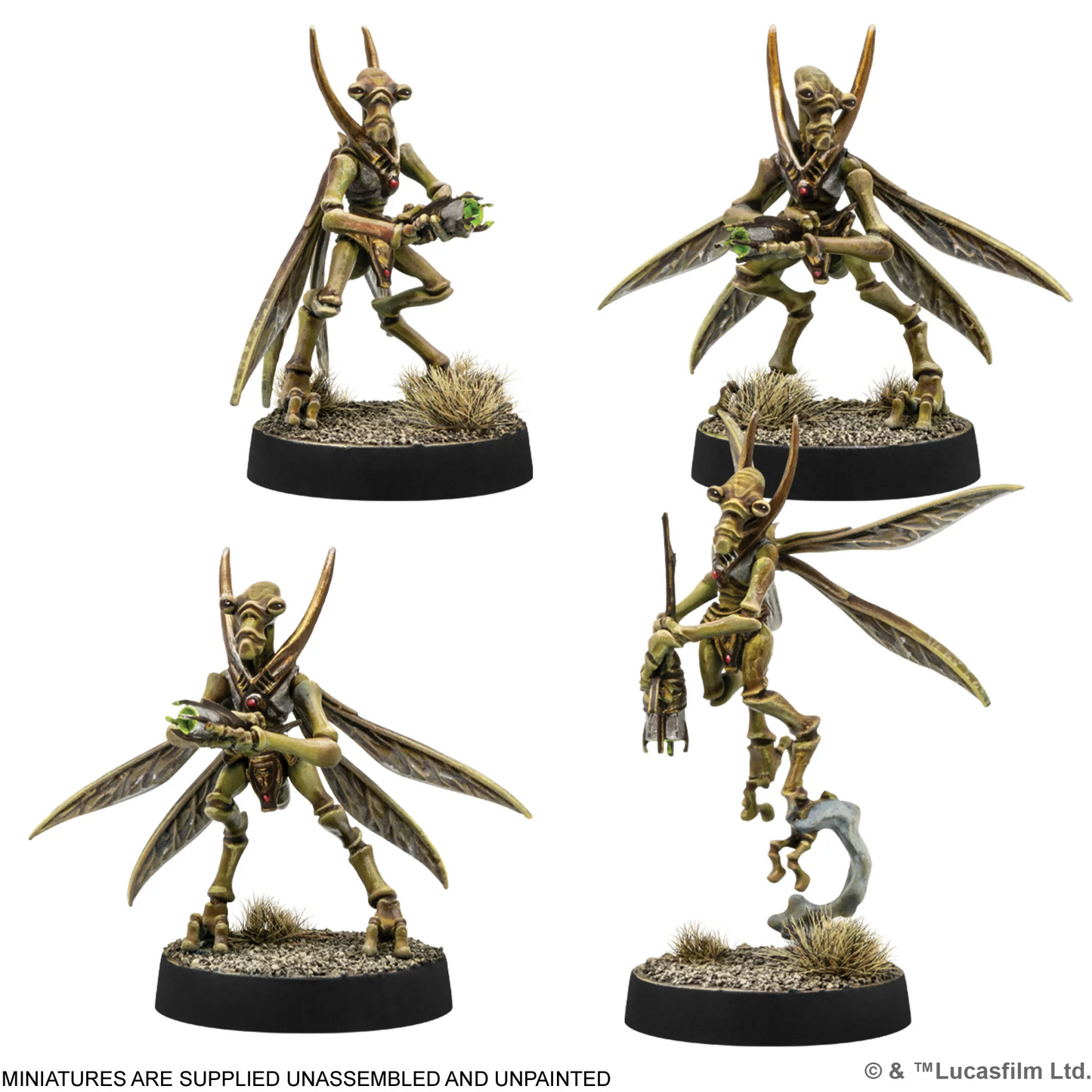 AMG SWQ37 ITEM IMAGE 3