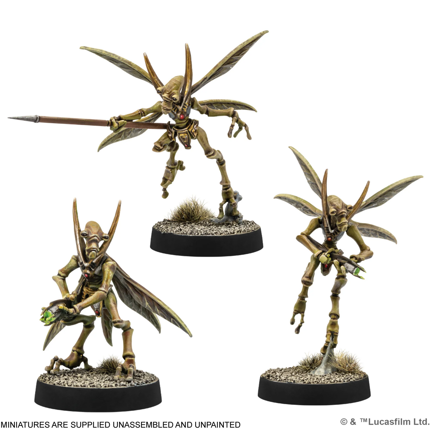 AMG SWQ37 ITEM IMAGE 4