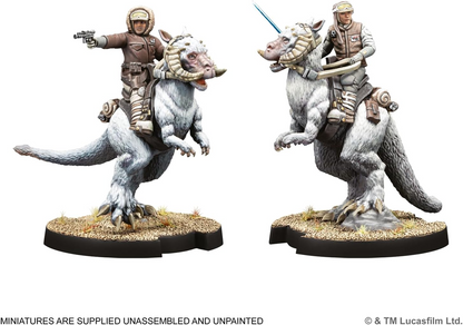 AMG SWQ41 ITEM IMAGE 4
