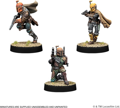 AMG SWQ81 ITEM IMAGE 2