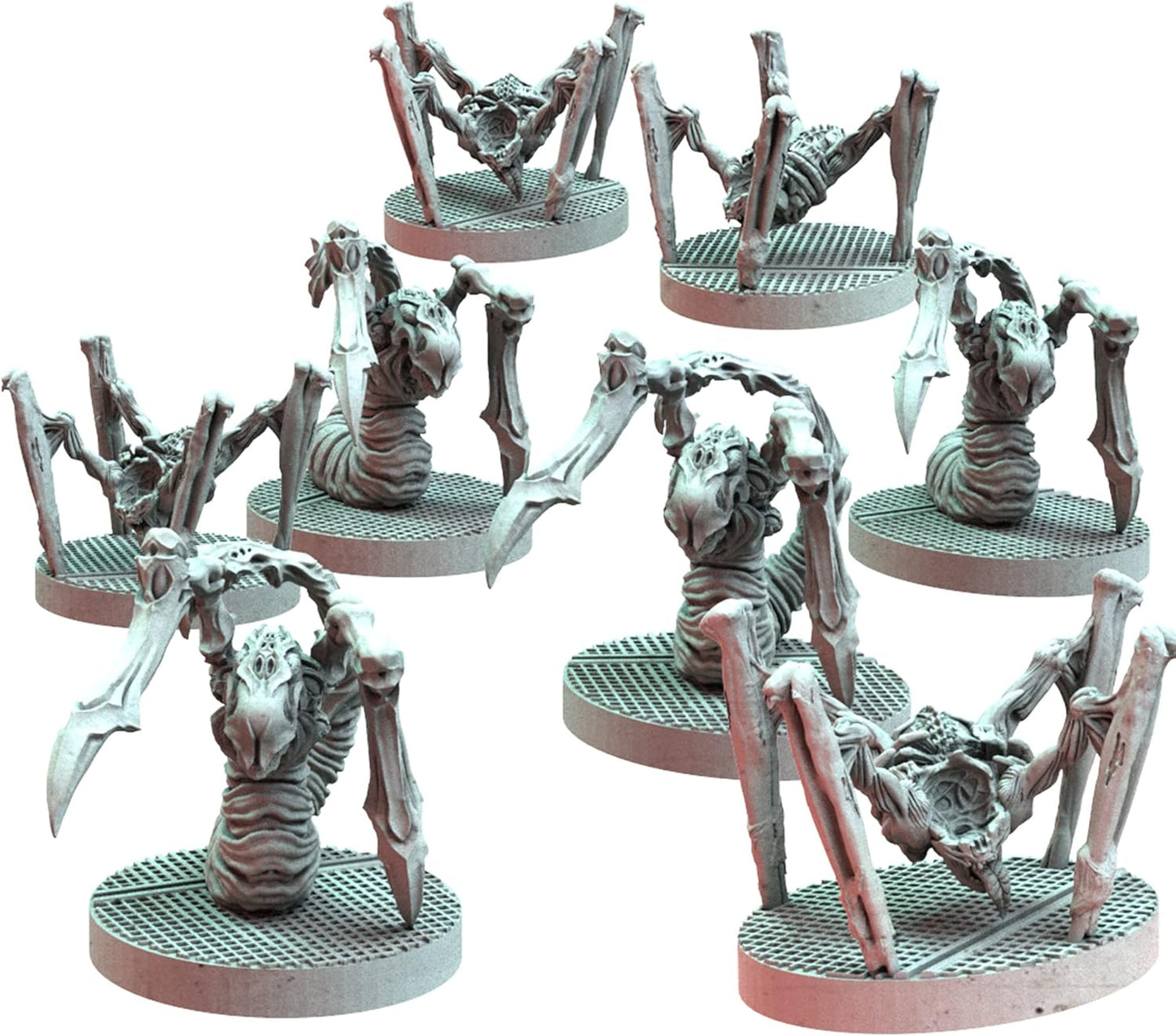 ASM NEM03 ITEM IMAGE 5