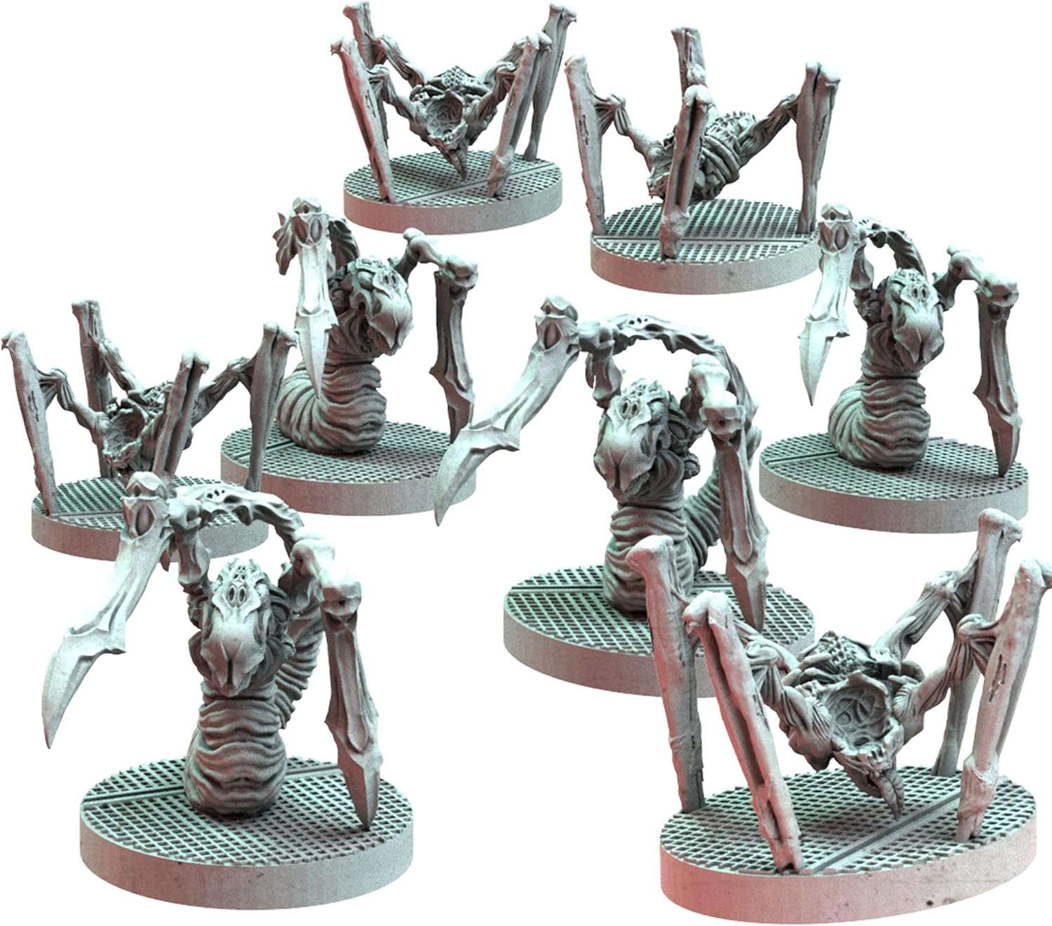 ASM NEM03 ITEM IMAGE 5