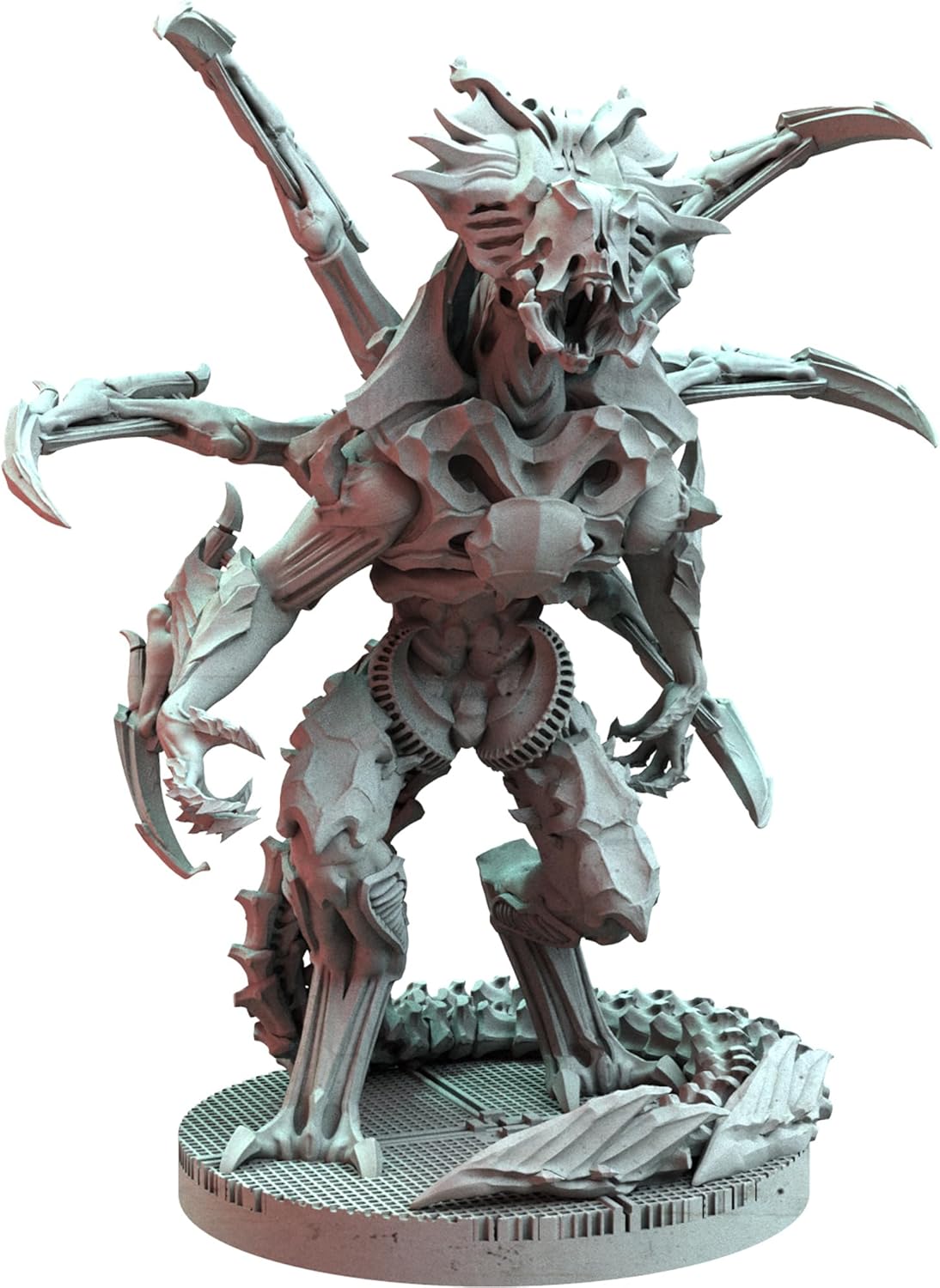 ASM NEM05 ITEM IMAGE 3