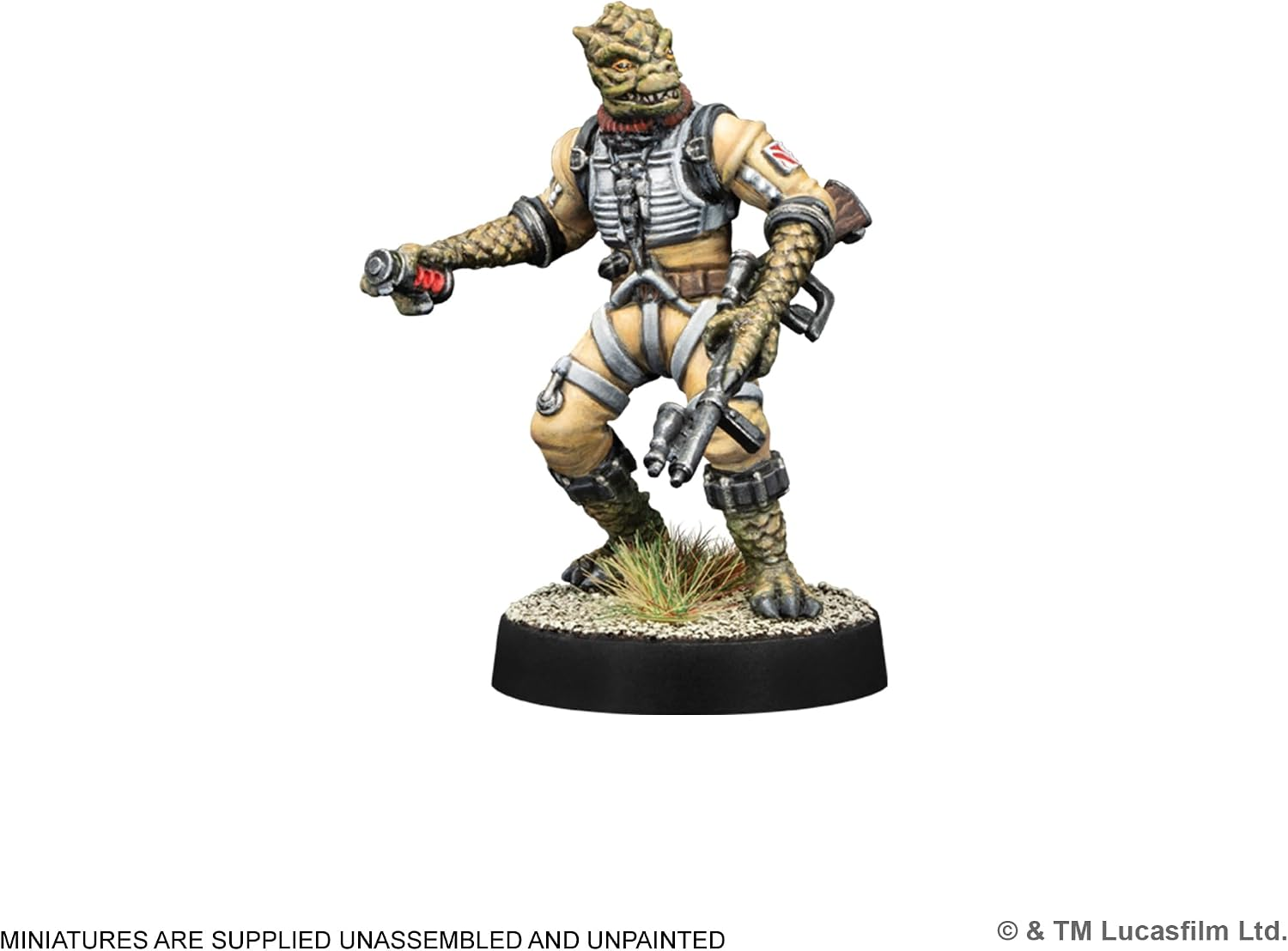ASM SWQ44 ITEM IMAGE 5