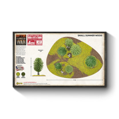FOW BB735 ITEM IMAGE 2