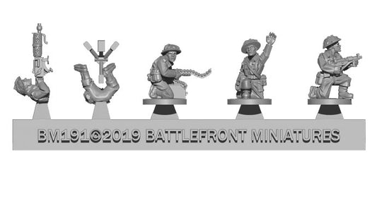FOW BR728 ITEM IMAGE 2