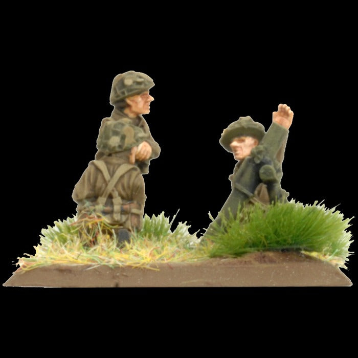 FOW BR729 ITEM IMAGE 4