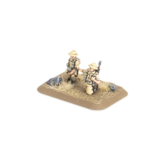 FOW BR733 ITEM IMAGE 4