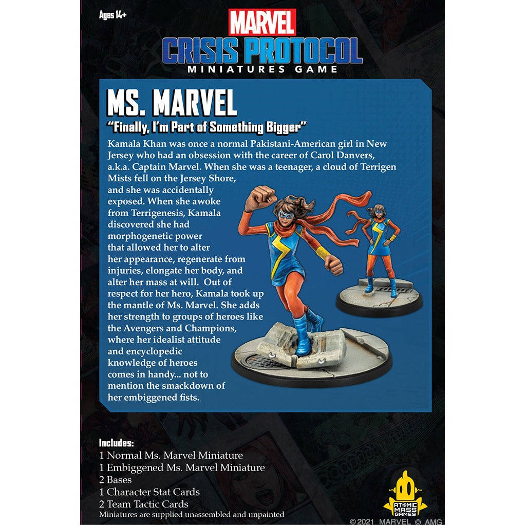 AMG CP62 ITEM IMAGE 4