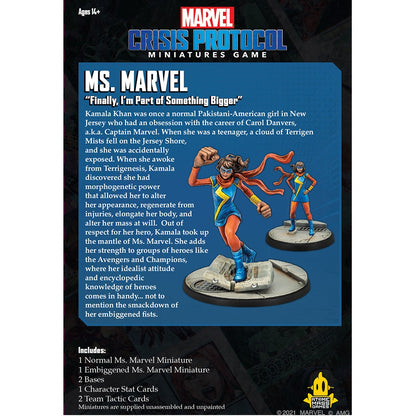 AMG CP62 ITEM IMAGE 4